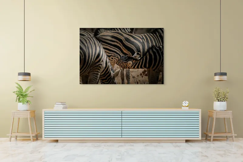 Tablou Canvas, "Zebre în armonie naturală", 150 x 100 cm – poza 6