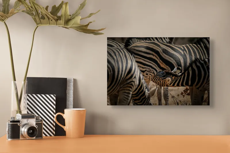 Tablou Canvas, "Zebre în armonie naturală", 39 x 26 cm – poza 3