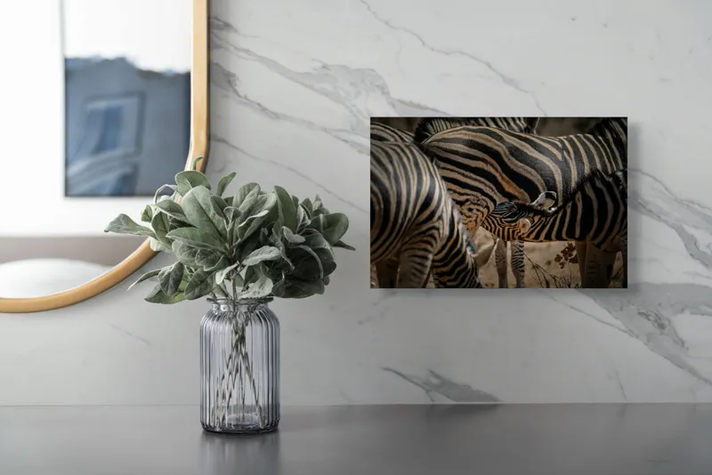 Tablou Canvas, "Zebre în armonie naturală", 39 x 26 cm – poza 5
