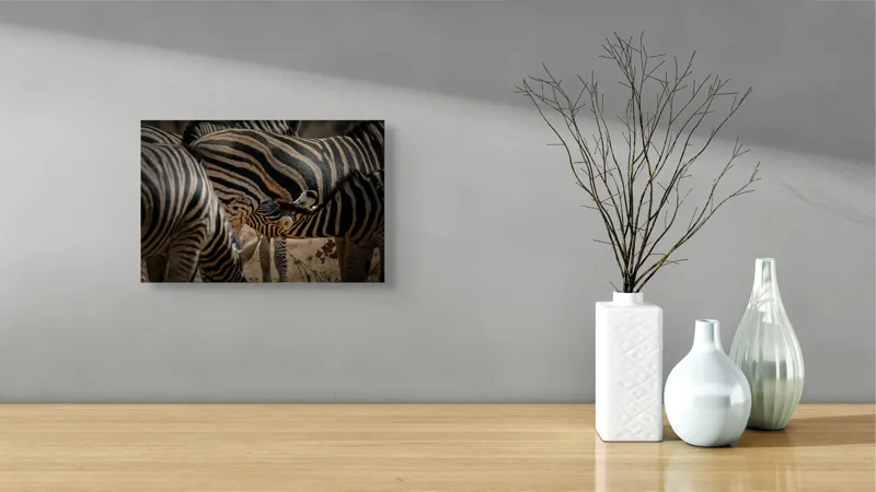 Tablou Canvas, "Zebre în armonie naturală", 39 x 26 cm – poza 8