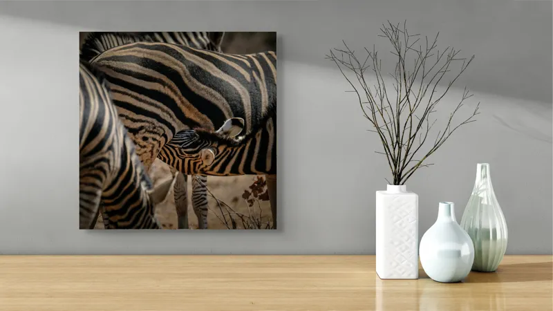 Tablou Canvas, "Zebre în armonie naturală", 50 x 50 cm – poza 3