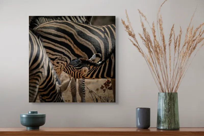 Tablou Canvas, "Zebre în armonie naturală", 50 x 50 cm – poza 4
