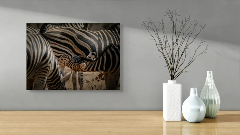 Tablou Canvas, "Zebre în armonie naturală", 54 x 39 cm – poza 3