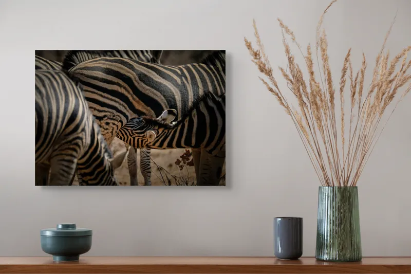 Tablou Canvas, "Zebre în armonie naturală", 54 x 39 cm – poza 4