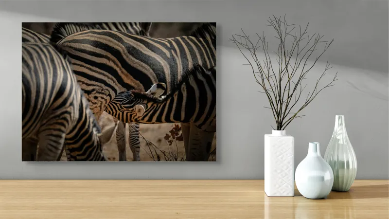 Tablou Canvas, "Zebre în armonie naturală", 70 x 50 cm – poza 3