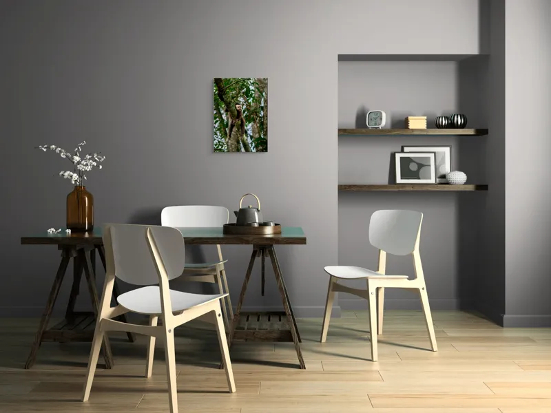 Tablou Canvas, "Odihnă liniștită pe crengile pădurii", Maimuță, Relaxare, Copac, Frunze, Natură, Blană, Crenguță, Pădure., 39 x 54 cm – poza 7