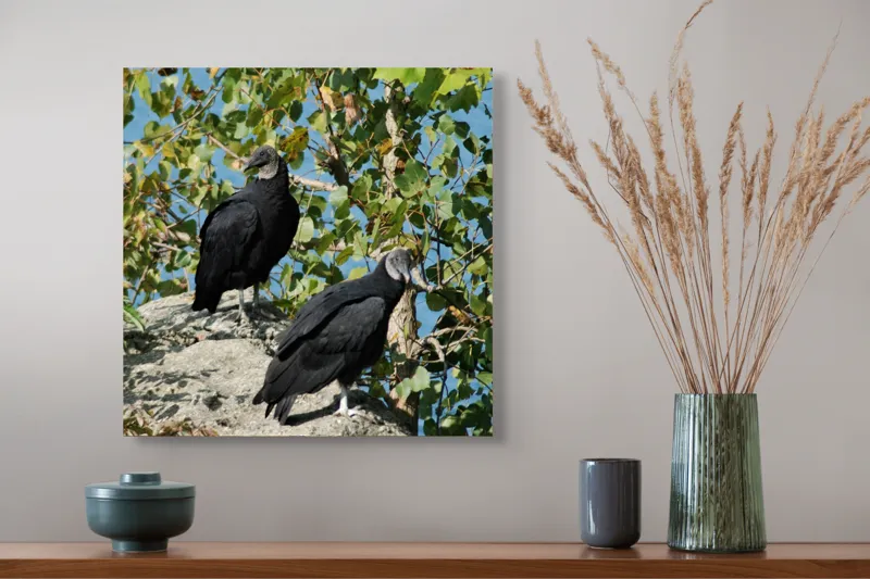 Tablou Canvas, "Doi vulturi pe stâncă toamna", Păsări, Crengi, Frunze, Apă, Rocă, Negru, Verde, Cer, Natura, Zbor, 50 x 50 cm – poza 4