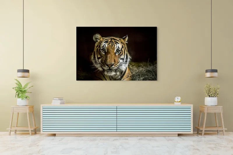 Tablou Canvas, "Tigrul în umbra misterioasă a junglei", Tigru, Privire, Majestuos, Blană, Dungat, 150 x 100 cm – poza 6
