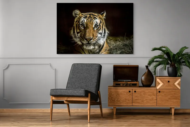 Tablou Canvas, "Tigrul în umbra misterioasă a junglei", Tigru, Privire, Majestuos, Blană, Dungat, 150 x 100 cm – poza 8