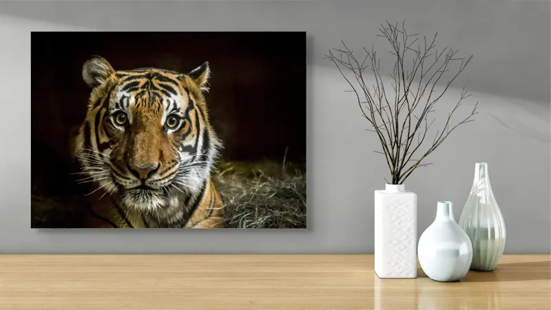 Tablou Canvas, "Tigrul în umbra misterioasă a junglei", Tigru, Privire, Majestuos, Blană, Dungat, 70 x 50 cm – poza 3