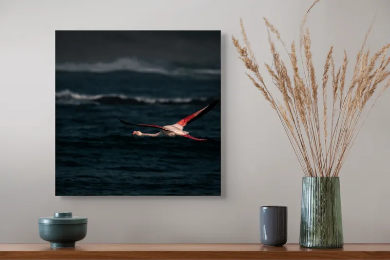 Tablou Canvas, "Flamingo zburând deasupra oceanului întunecat", Flamingo, Zbor, Ocean, Valuri, Liniște, Natură, Aripi, Apus, 50 x 50 cm – poza 4