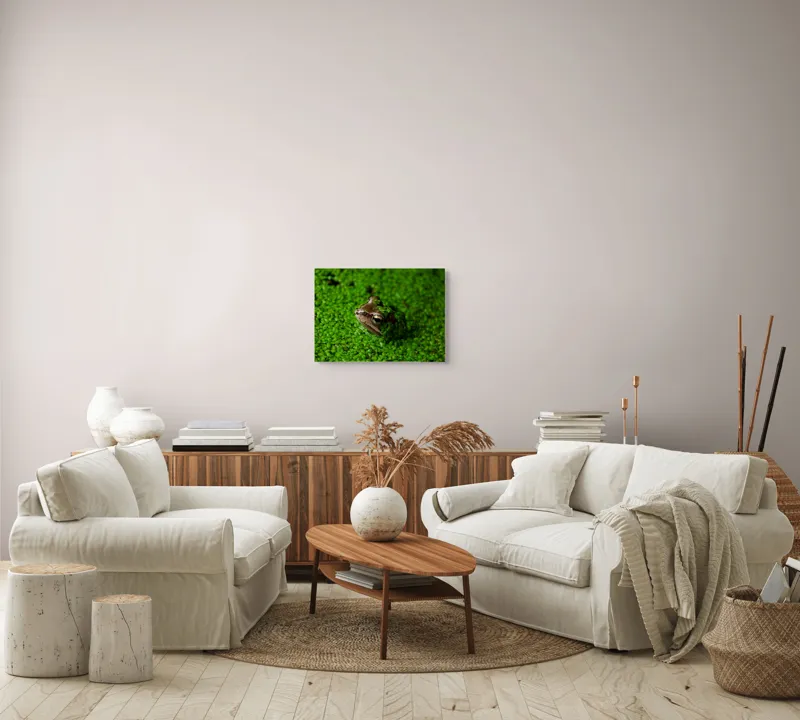 Tablou Canvas, "Broasca ascunsă printre frunze verzi", Broască, Camo, Verde, Frunze, Apă, Ochii, Natură, Ascunsă, Textură, Camuflaj, 54 x 39 cm – poza 5