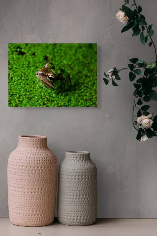 Tablou Canvas, "Broasca ascunsă printre frunze verzi", Broască, Camo, Verde, Frunze, Apă, Ochii, Natură, Ascunsă, Textură, Camuflaj, 54 x 39 cm – poza 8