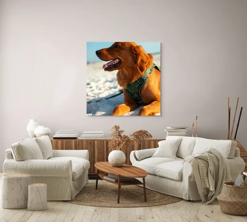 Tablou Canvas, "Câine fericit pe plaja însorită", Câine, Nisip, Zgărză, Soare, Relaxare, Plajă, Blană, Fericire, Cer, Albastru., 100 x 100 cm – poza 3