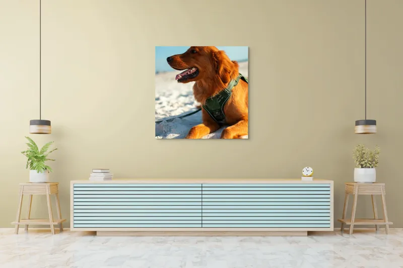 Tablou Canvas, "Câine fericit pe plaja însorită", Câine, Nisip, Zgărză, Soare, Relaxare, Plajă, Blană, Fericire, Cer, Albastru., 100 x 100 cm – poza 5