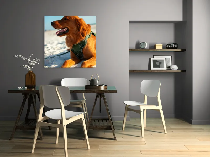 Tablou Canvas, "Câine fericit pe plaja însorită", Câine, Nisip, Zgărză, Soare, Relaxare, Plajă, Blană, Fericire, Cer, Albastru., 100 x 100 cm – poza 6