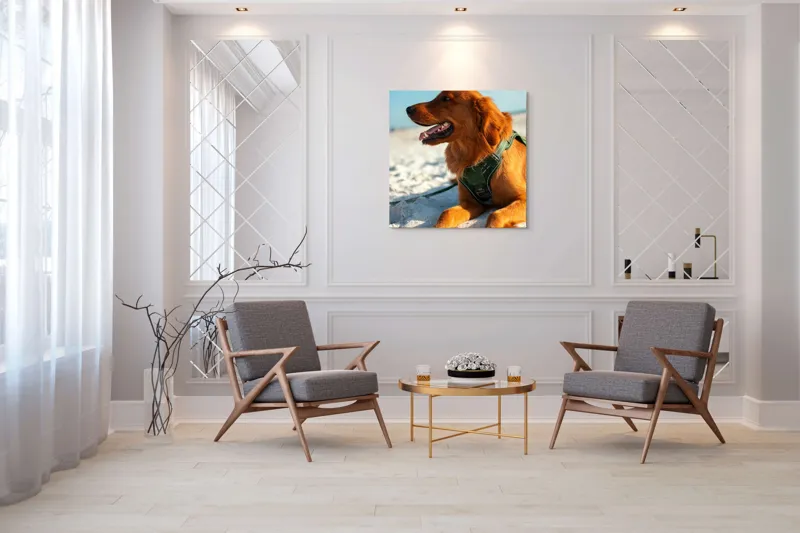 Tablou Canvas, "Câine fericit pe plaja însorită", Câine, Nisip, Zgărză, Soare, Relaxare, Plajă, Blană, Fericire, Cer, Albastru., 100 x 100 cm – poza 7