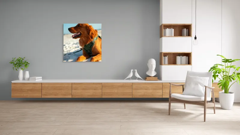 Tablou Canvas, "Câine fericit pe plaja însorită", Câine, Nisip, Zgărză, Soare, Relaxare, Plajă, Blană, Fericire, Cer, Albastru., 100 x 100 cm – poza 8