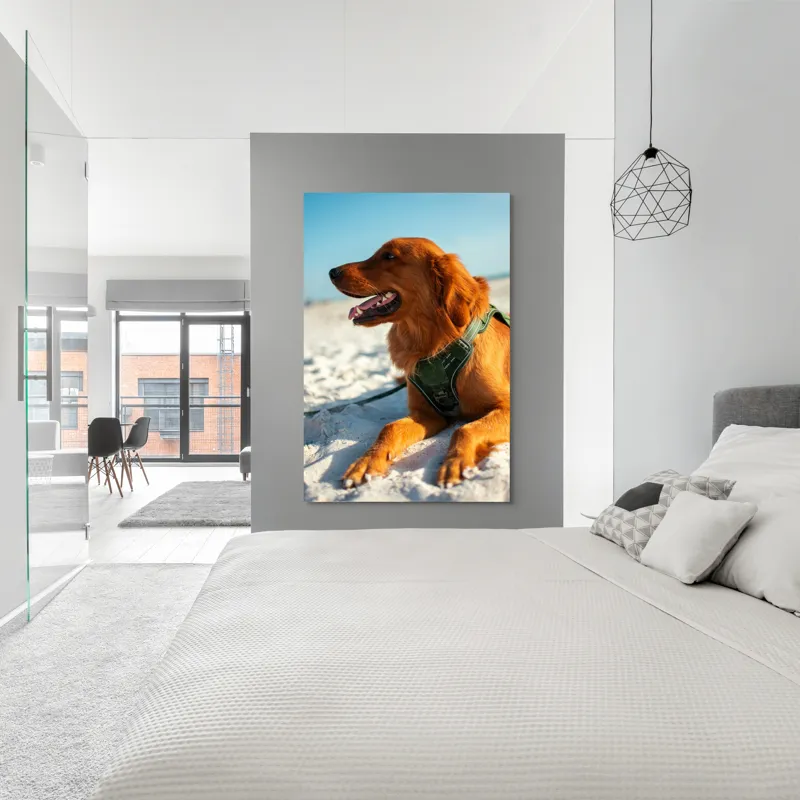 Tablou Canvas, "Câine fericit pe plaja însorită", Câine, Nisip, Zgărză, Soare, Relaxare, Plajă, Blană, Fericire, Cer, Albastru., 100 x 150 cm – poza 5