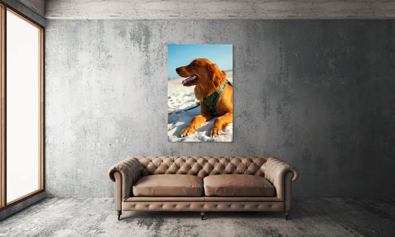 Tablou Canvas, "Câine fericit pe plaja însorită", Câine, Nisip, Zgărză, Soare, Relaxare, Plajă, Blană, Fericire, Cer, Albastru., 100 x 150 cm – poza 6