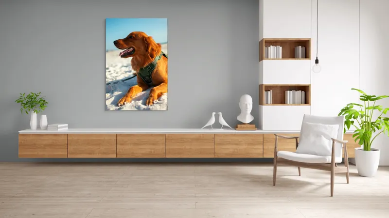 Tablou Canvas, "Câine fericit pe plaja însorită", Câine, Nisip, Zgărză, Soare, Relaxare, Plajă, Blană, Fericire, Cer, Albastru., 100 x 150 cm – poza 8