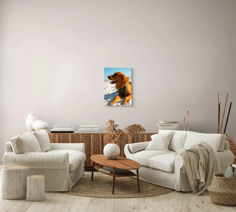 Tablou Canvas, "Câine fericit pe plaja însorită", Câine, Nisip, Zgărză, Soare, Relaxare, Plajă, Blană, Fericire, Cer, Albastru., 39 x 54 cm – poza 5