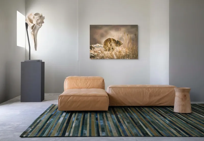 Tablou Canvas, "Viziune sălbatică în peisaj arid", I’m not sure what this animal is, but it seems to be in a natural, rocky environment., 100 x 70 cm – poza 7