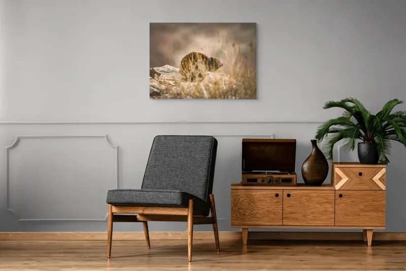 Tablou Canvas, "Viziune sălbatică în peisaj arid", I’m not sure what this animal is, but it seems to be in a natural, rocky environment., 100 x 70 cm – poza 8