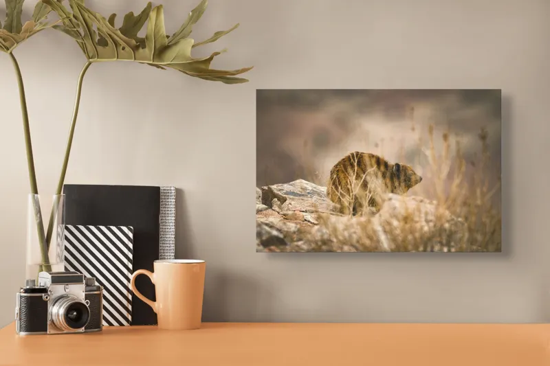 Tablou Canvas, "Viziune sălbatică în peisaj arid", I’m not sure what this animal is, but it seems to be in a natural, rocky environment., 39 x 26 cm – poza 3