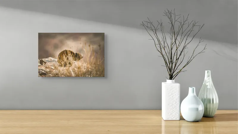Tablou Canvas, "Viziune sălbatică în peisaj arid", I’m not sure what this animal is, but it seems to be in a natural, rocky environment., 39 x 26 cm – poza 8