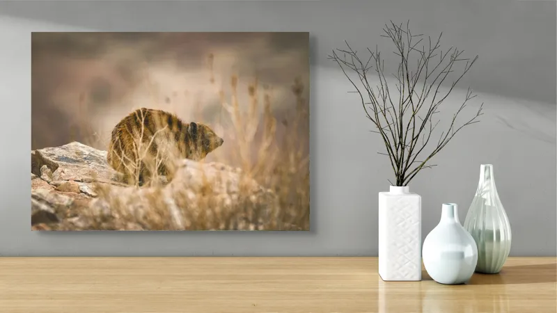 Tablou Canvas, "Viziune sălbatică în peisaj arid", I’m not sure what this animal is, but it seems to be in a natural, rocky environment., 70 x 50 cm – poza 3