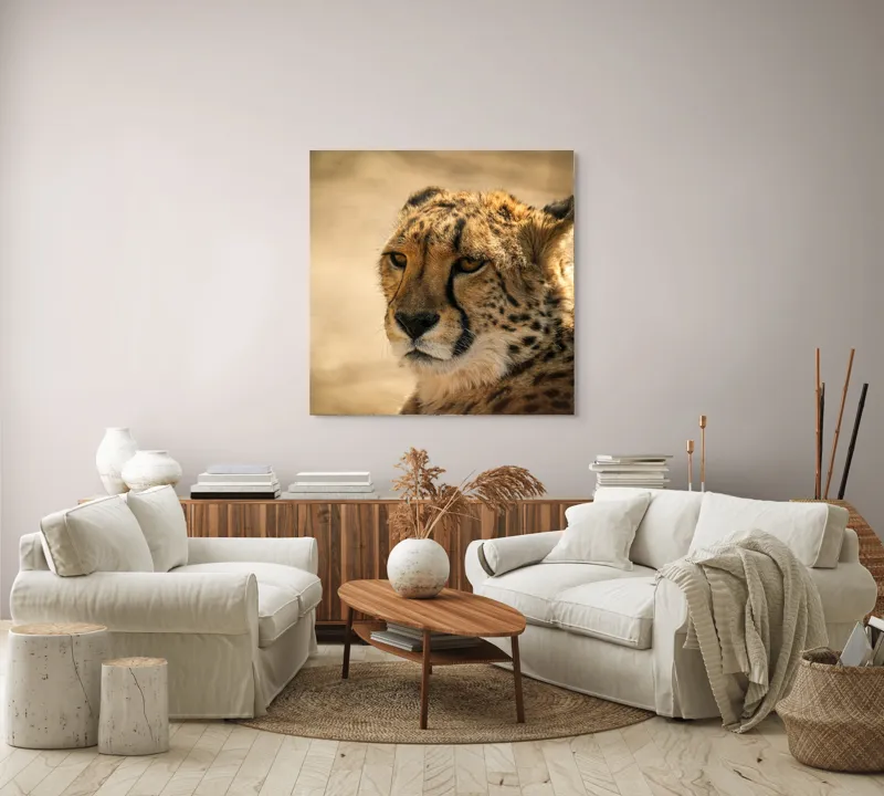 Tablou Canvas, "Regret, viteză și grație sălbatică", Cheetah, Focused, Graceful, Majestic, Spotted, Alert, Sleek, Elegant, 100 x 100 cm – poza 3
