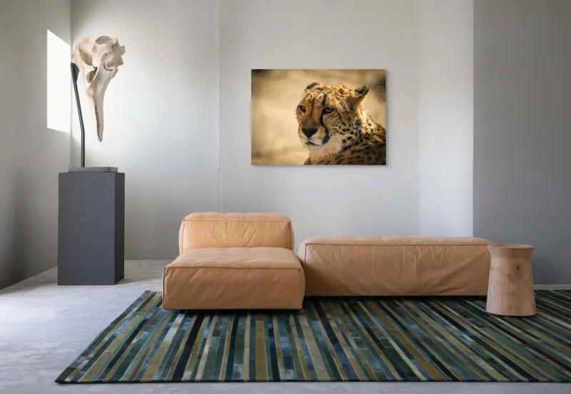 Tablou Canvas, "Regret, viteză și grație sălbatică", Cheetah, Focused, Graceful, Majestic, Spotted, Alert, Sleek, Elegant, 100 x 70 cm – poza 7