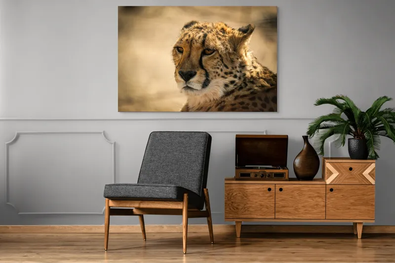 Tablou Canvas, "Regret, viteză și grație sălbatică", Cheetah, Focused, Graceful, Majestic, Spotted, Alert, Sleek, Elegant, 150 x 100 cm – poza 8