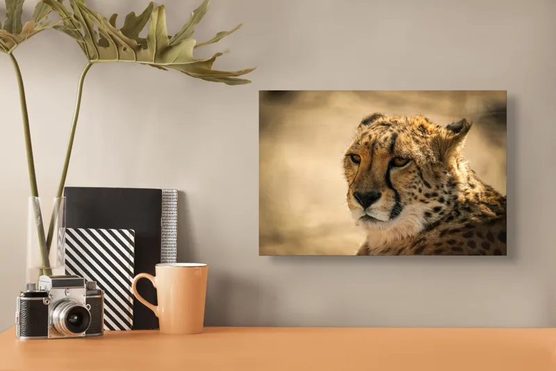 Tablou Canvas, "Regret, viteză și grație sălbatică", Cheetah, Focused, Graceful, Majestic, Spotted, Alert, Sleek, Elegant, 39 x 26 cm – poza 3
