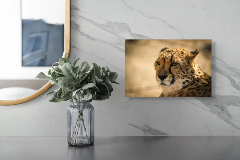Tablou Canvas, "Regret, viteză și grație sălbatică", Cheetah, Focused, Graceful, Majestic, Spotted, Alert, Sleek, Elegant, 39 x 26 cm – poza 5