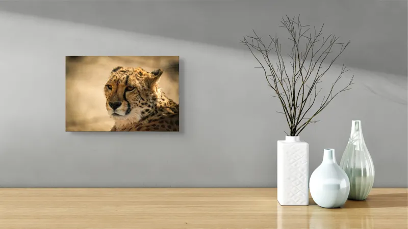 Tablou Canvas, "Regret, viteză și grație sălbatică", Cheetah, Focused, Graceful, Majestic, Spotted, Alert, Sleek, Elegant, 39 x 26 cm – poza 8