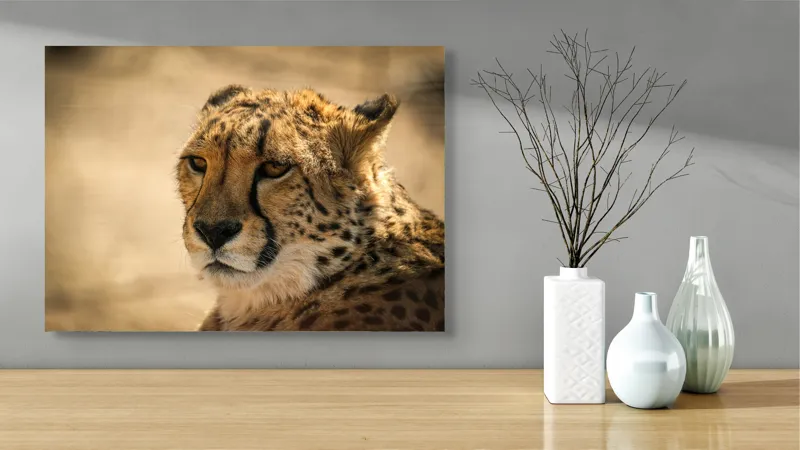 Tablou Canvas, "Regret, viteză și grație sălbatică", Cheetah, Focused, Graceful, Majestic, Spotted, Alert, Sleek, Elegant, 70 x 50 cm – poza 3