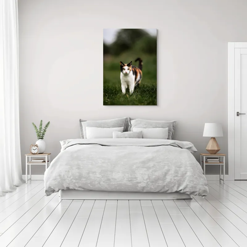 Tablou Canvas, "Pisică în iarba verde și proaspătă", Pisică, Blană, Colorat, Iarbă, Natură, Privire, Urechi, Mustăți, Coadă, Curiozitate, 70 x 100 cm – poza 3