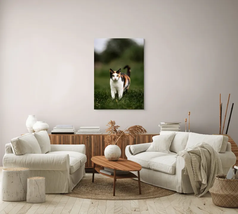 Tablou Canvas, "Pisică în iarba verde și proaspătă", Pisică, Blană, Colorat, Iarbă, Natură, Privire, Urechi, Mustăți, Coadă, Curiozitate, 70 x 100 cm – poza 4