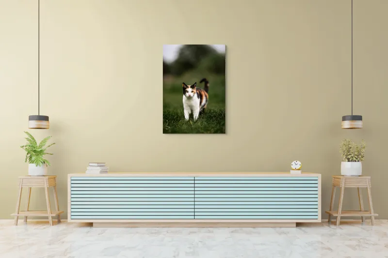 Tablou Canvas, "Pisică în iarba verde și proaspătă", Pisică, Blană, Colorat, Iarbă, Natură, Privire, Urechi, Mustăți, Coadă, Curiozitate, 70 x 100 cm – poza 5