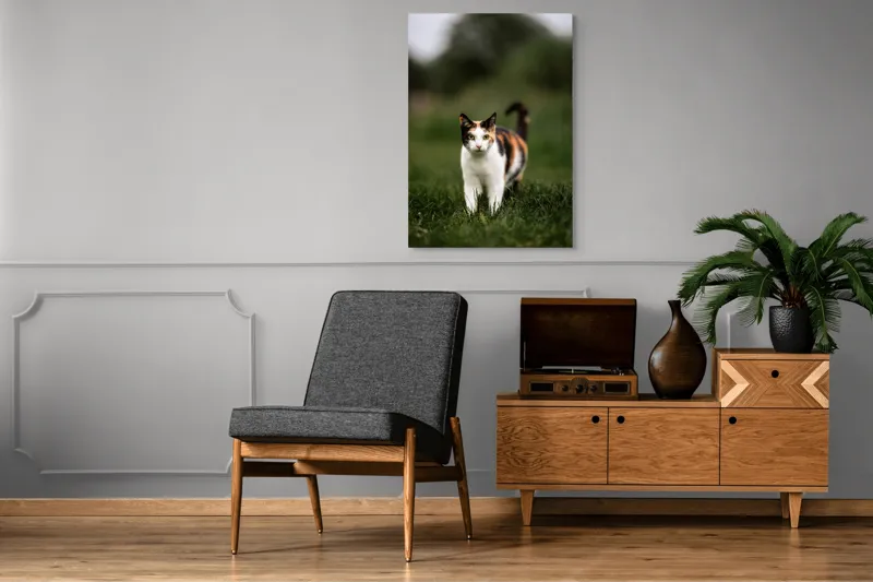 Tablou Canvas, "Pisică în iarba verde și proaspătă", Pisică, Blană, Colorat, Iarbă, Natură, Privire, Urechi, Mustăți, Coadă, Curiozitate, 70 x 100 cm – poza 6
