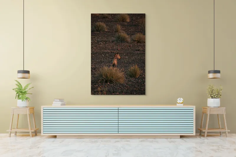 Tablou Canvas, "Zebră în lumina apusului african", Zebră, Apus, Pustiu, Vegetație, Pietre, Singurătate, Liniște, Natură, Sălbăticie, Contemplare, 100 x 150 cm – poza 4