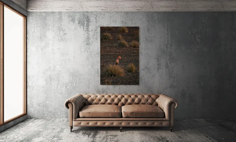 Tablou Canvas, "Zebră în lumina apusului african", Zebră, Apus, Pustiu, Vegetație, Pietre, Singurătate, Liniște, Natură, Sălbăticie, Contemplare, 100 x 150 cm – poza 6