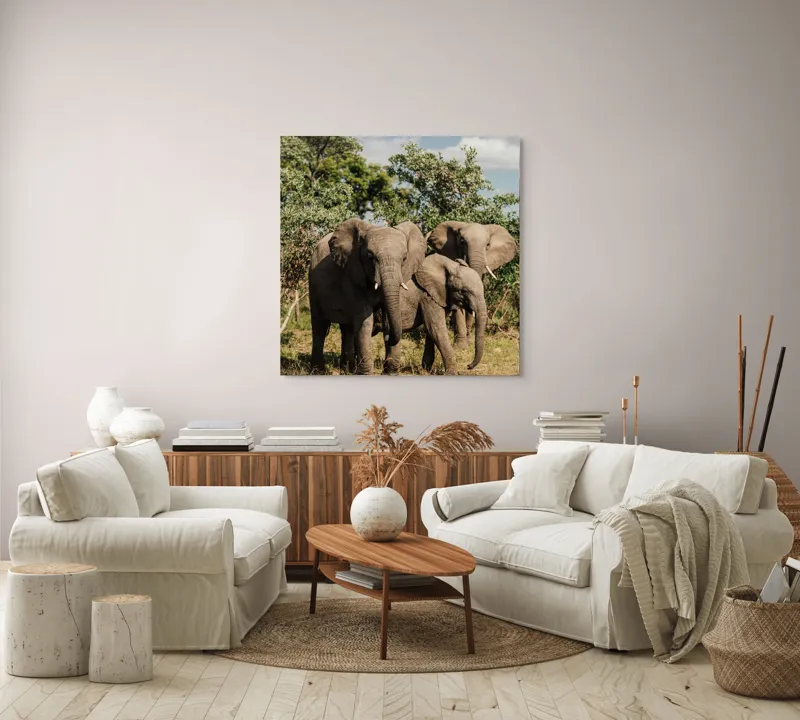 Tablou Canvas, "Familie de elefanți în savană africană", Elefanți, Arbori, Savana, Cer, Nori, Trei, Familie, Natură, Urechi, Colți, 100 x 100 cm – poza 3