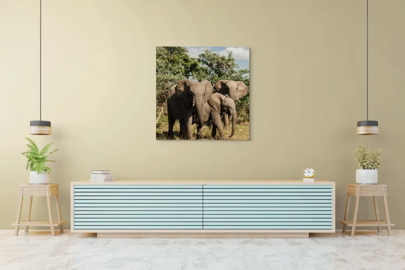 Tablou Canvas, "Familie de elefanți în savană africană", Elefanți, Arbori, Savana, Cer, Nori, Trei, Familie, Natură, Urechi, Colți, 100 x 100 cm – poza 5