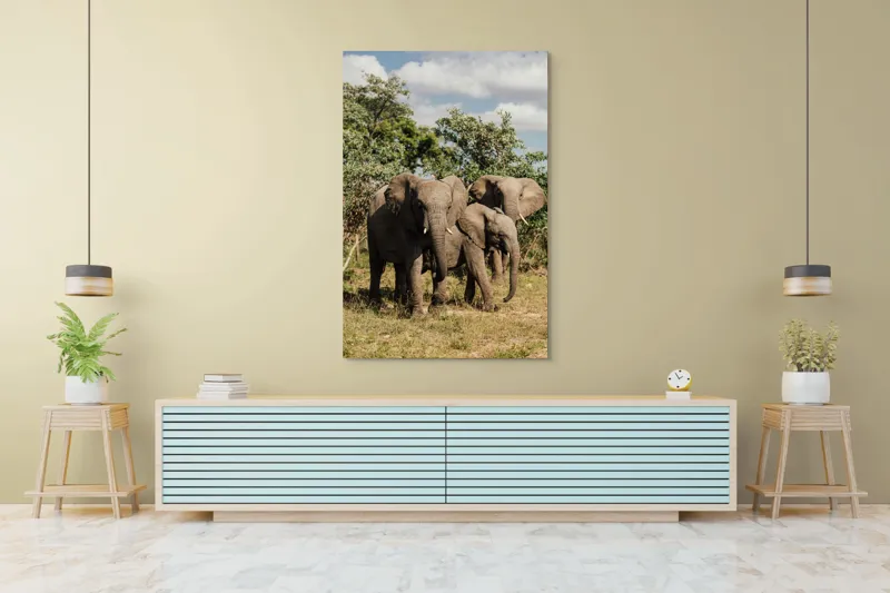 Tablou Canvas, "Familie de elefanți în savană africană", Elefanți, Arbori, Savana, Cer, Nori, Trei, Familie, Natură, Urechi, Colți, 100 x 150 cm – poza 4