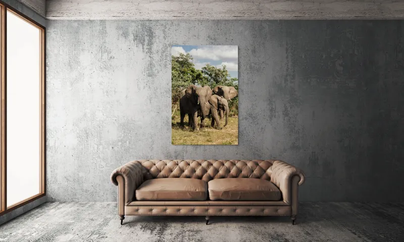 Tablou Canvas, "Familie de elefanți în savană africană", Elefanți, Arbori, Savana, Cer, Nori, Trei, Familie, Natură, Urechi, Colți, 100 x 150 cm – poza 6