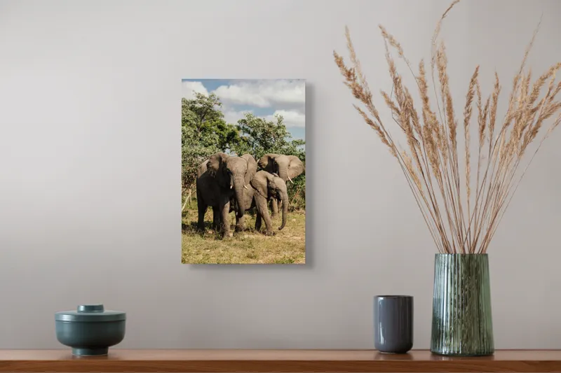 Tablou Canvas, "Familie de elefanți în savană africană", Elefanți, Arbori, Savana, Cer, Nori, Trei, Familie, Natură, Urechi, Colți, 26 x 39 cm – poza 5