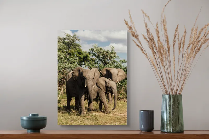 Tablou Canvas, "Familie de elefanți în savană africană", Elefanți, Arbori, Savana, Cer, Nori, Trei, Familie, Natură, Urechi, Colți, 39 x 54 cm – poza 3